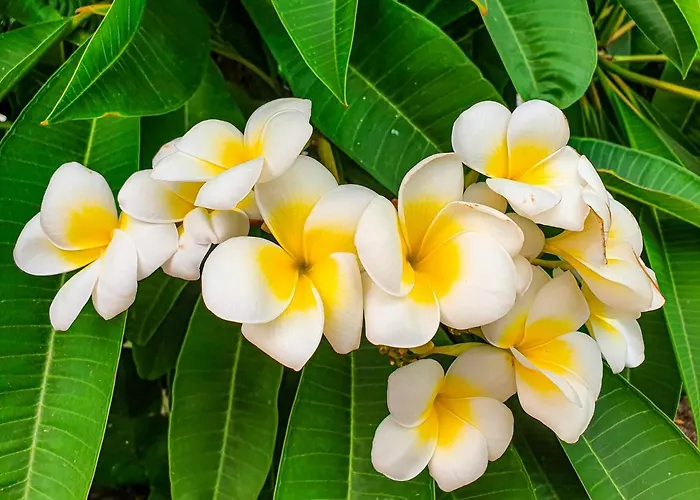 호텔 Arcangelo - Salina 3*